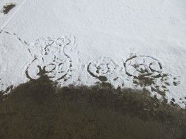 1/10(金)雪が降ったよ!(^^)!