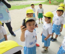 夏野菜収穫したよ(^^♪